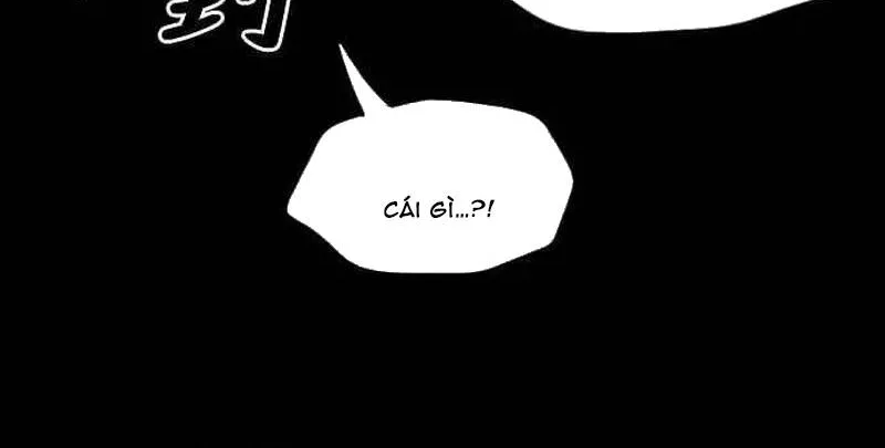 Chapter 260