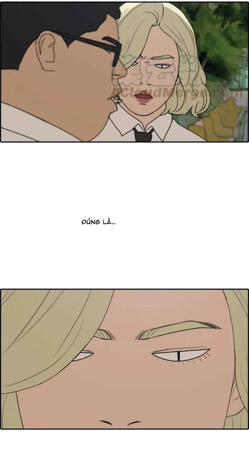 Chapter 260