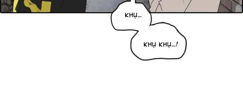 Chapter 262