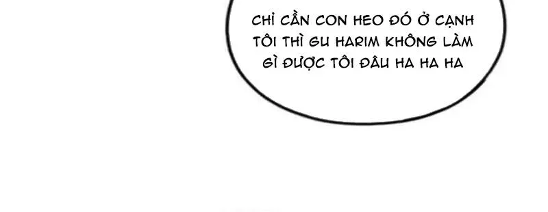 Chapter 262