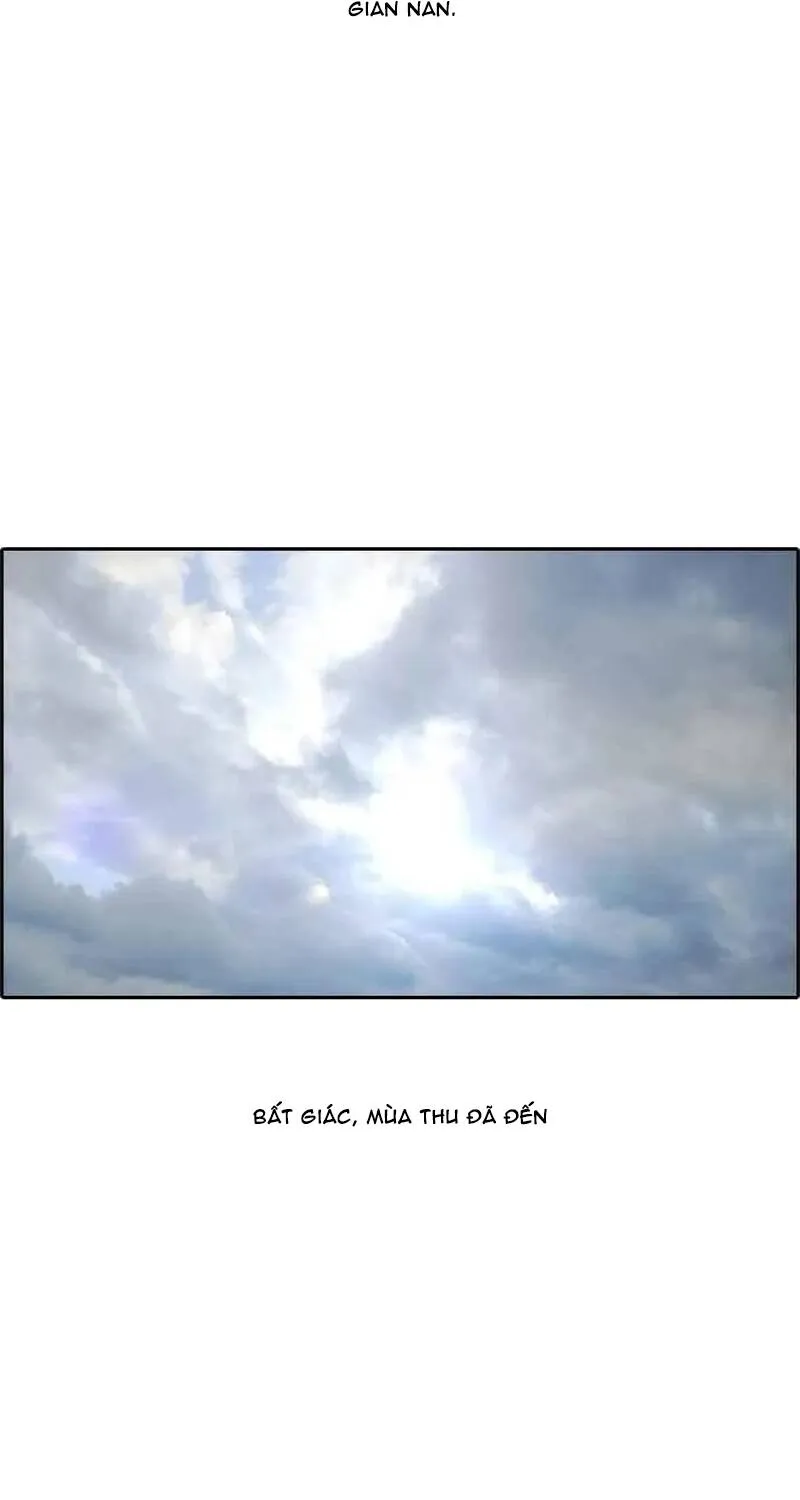 Chapter 263