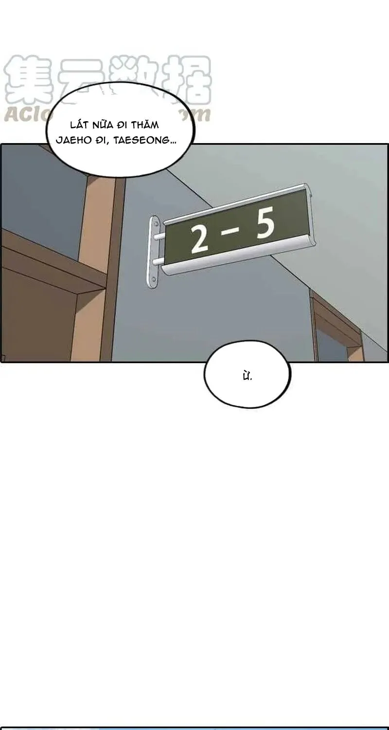 Chapter 266