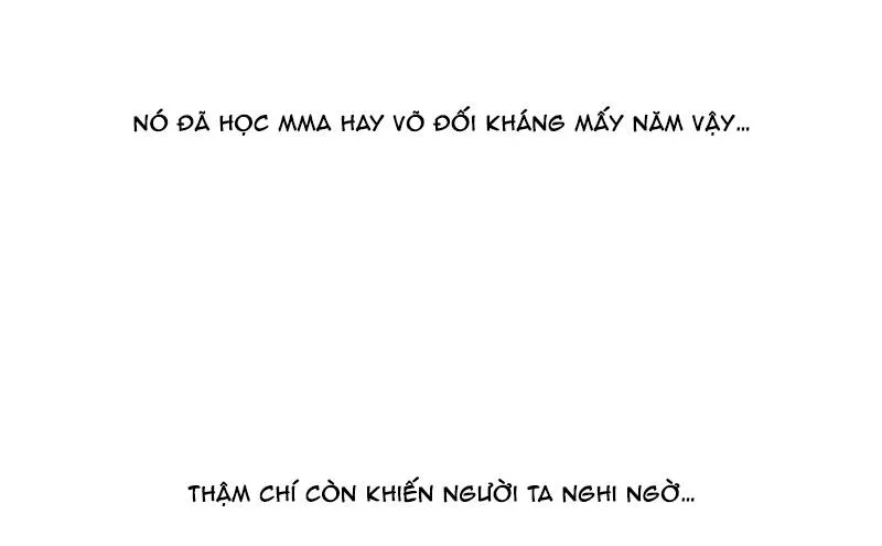 Chapter 266