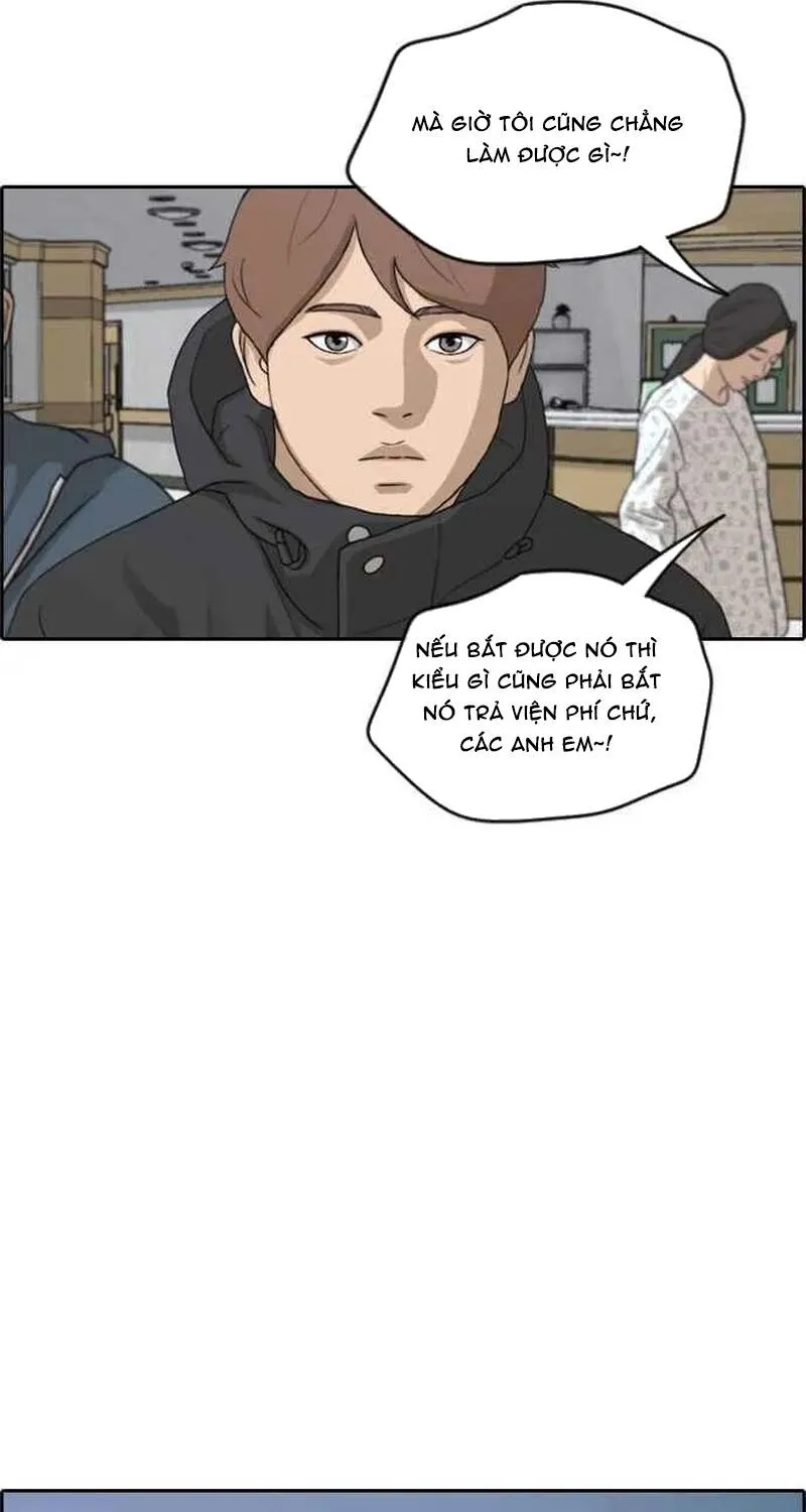Chapter 266