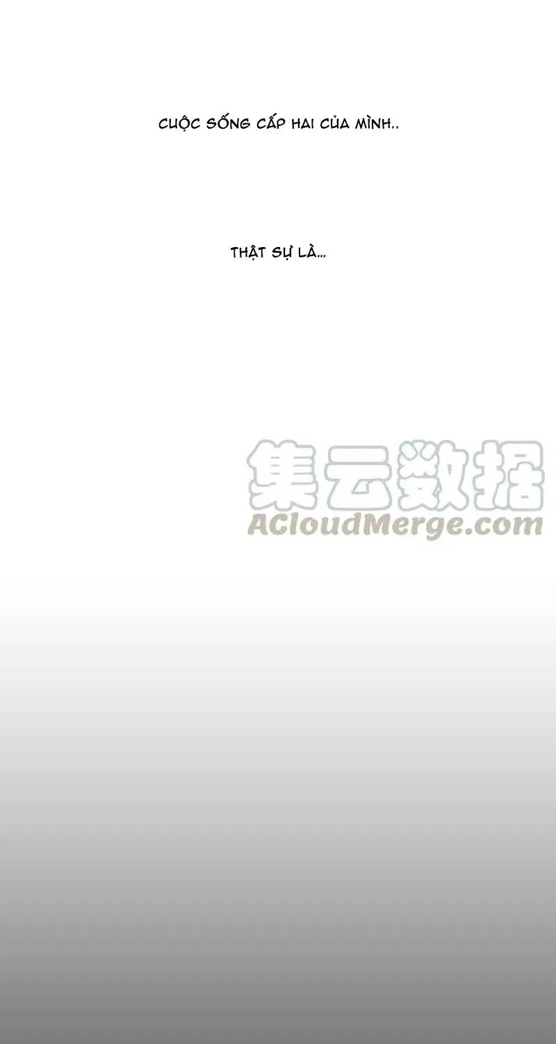 Chapter 268