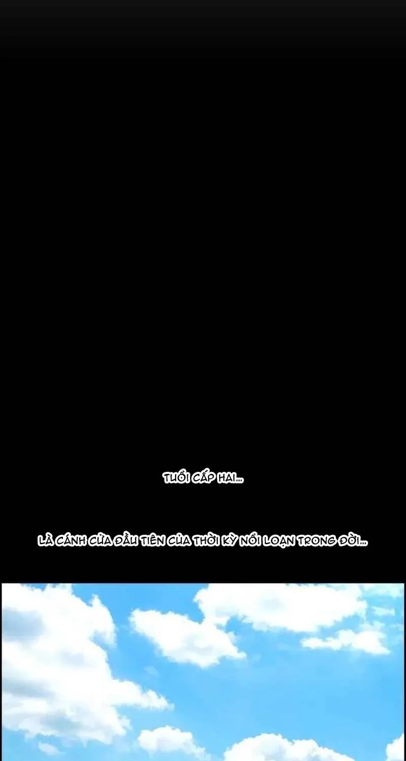 Chapter 268