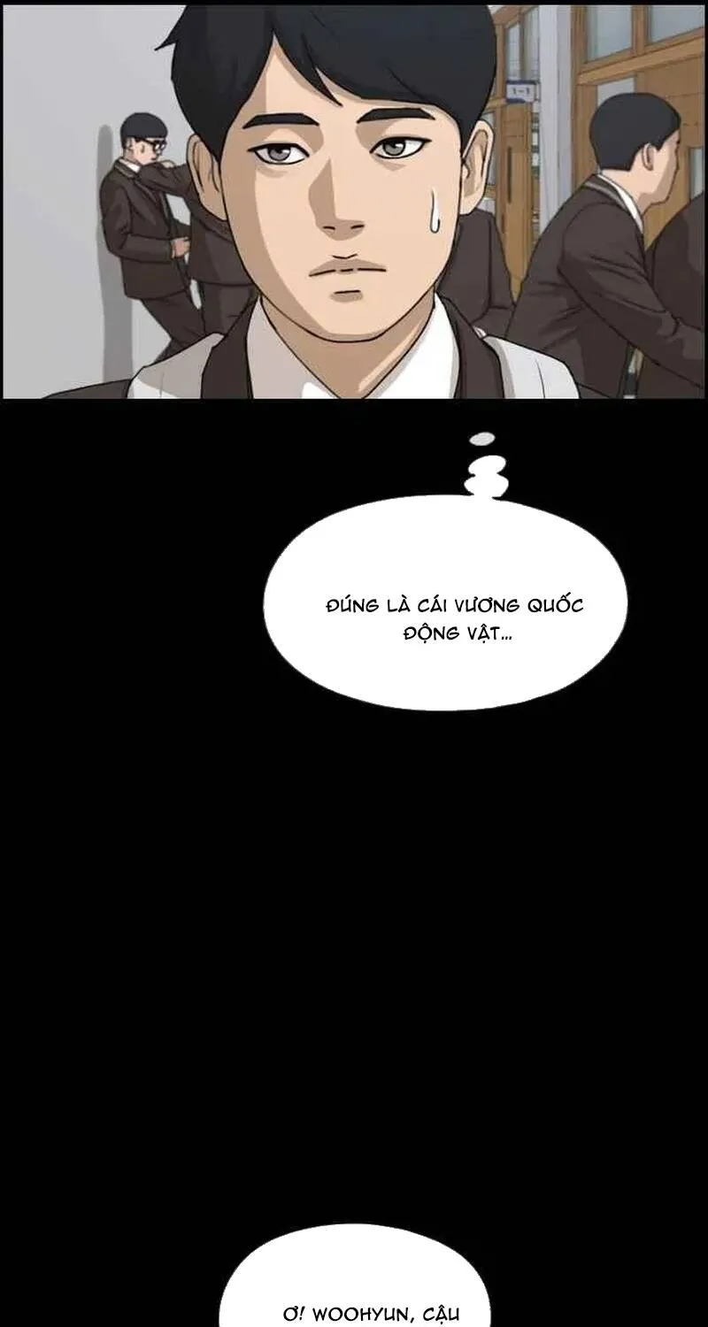 Chapter 268