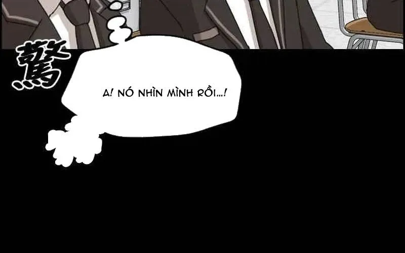 Chapter 268