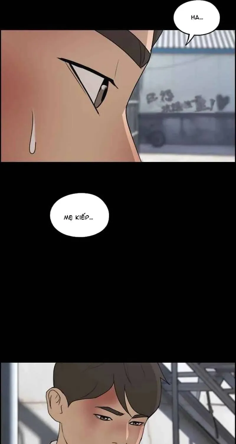 Chapter 271