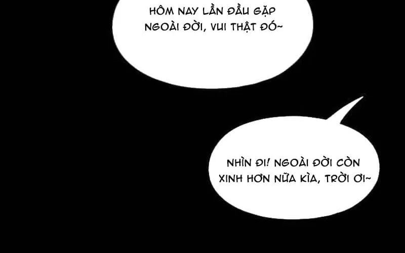 Chapter 271