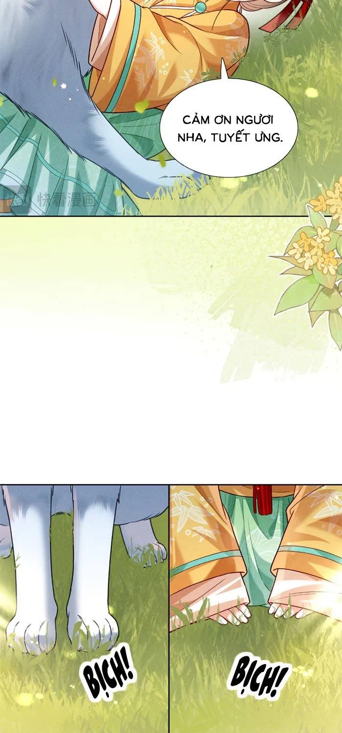 Chapter 14