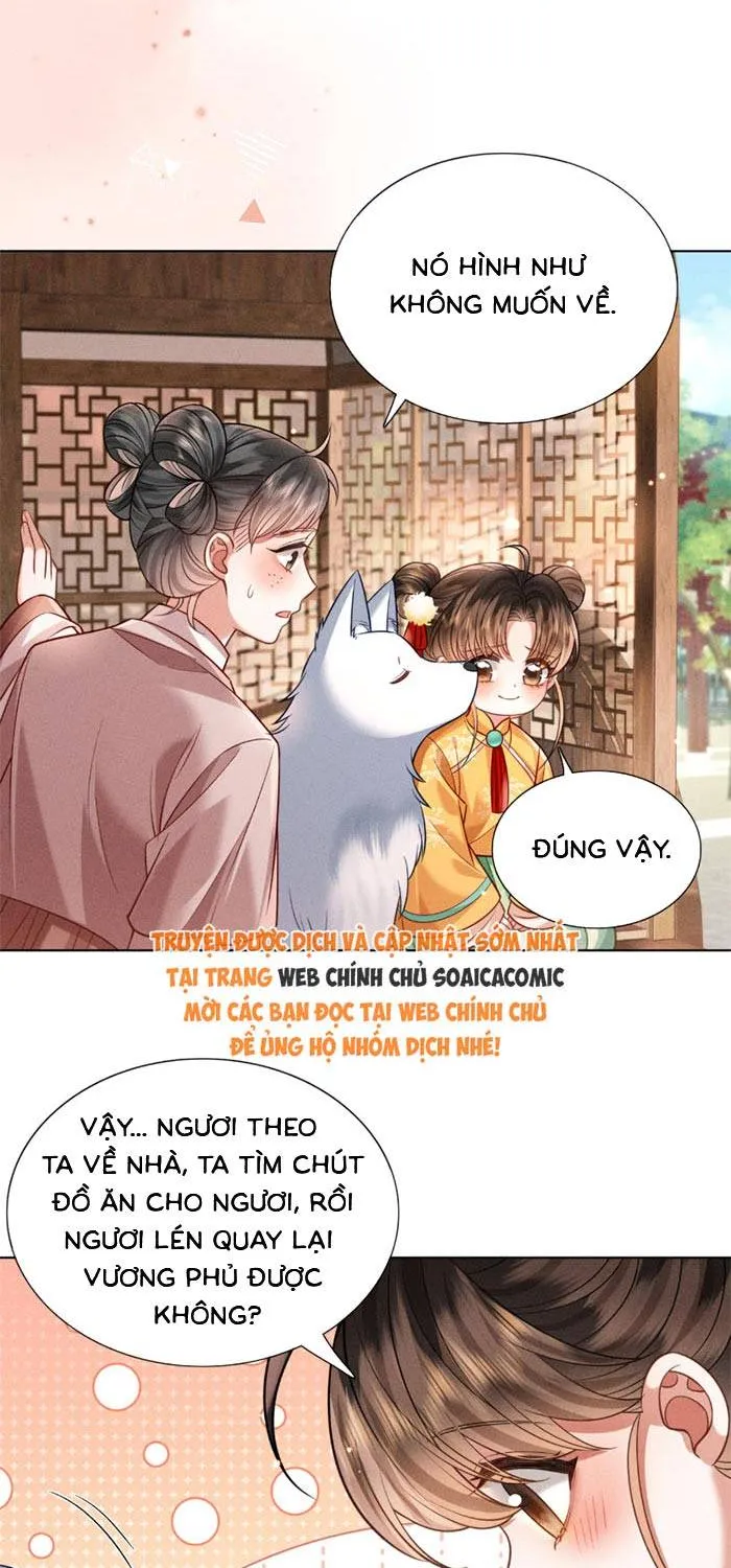 Chapter 15