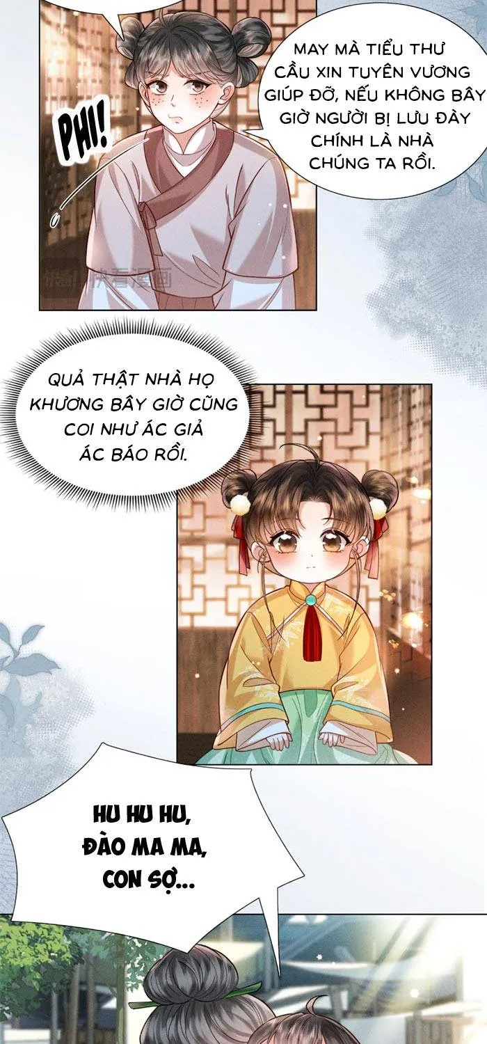 Chapter 15