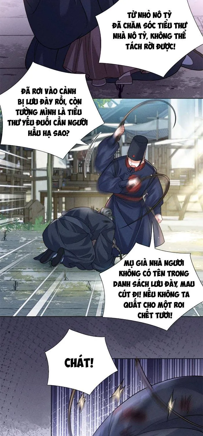 Chapter 15