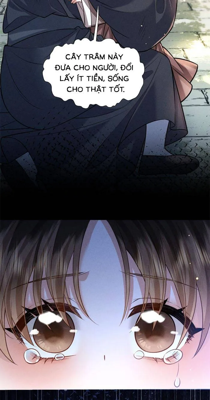 Chapter 15