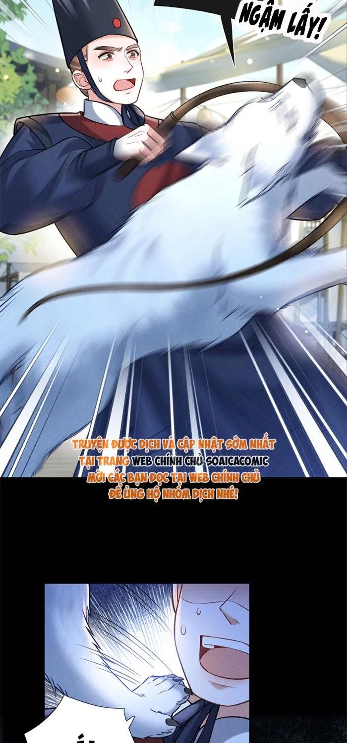 Chapter 15