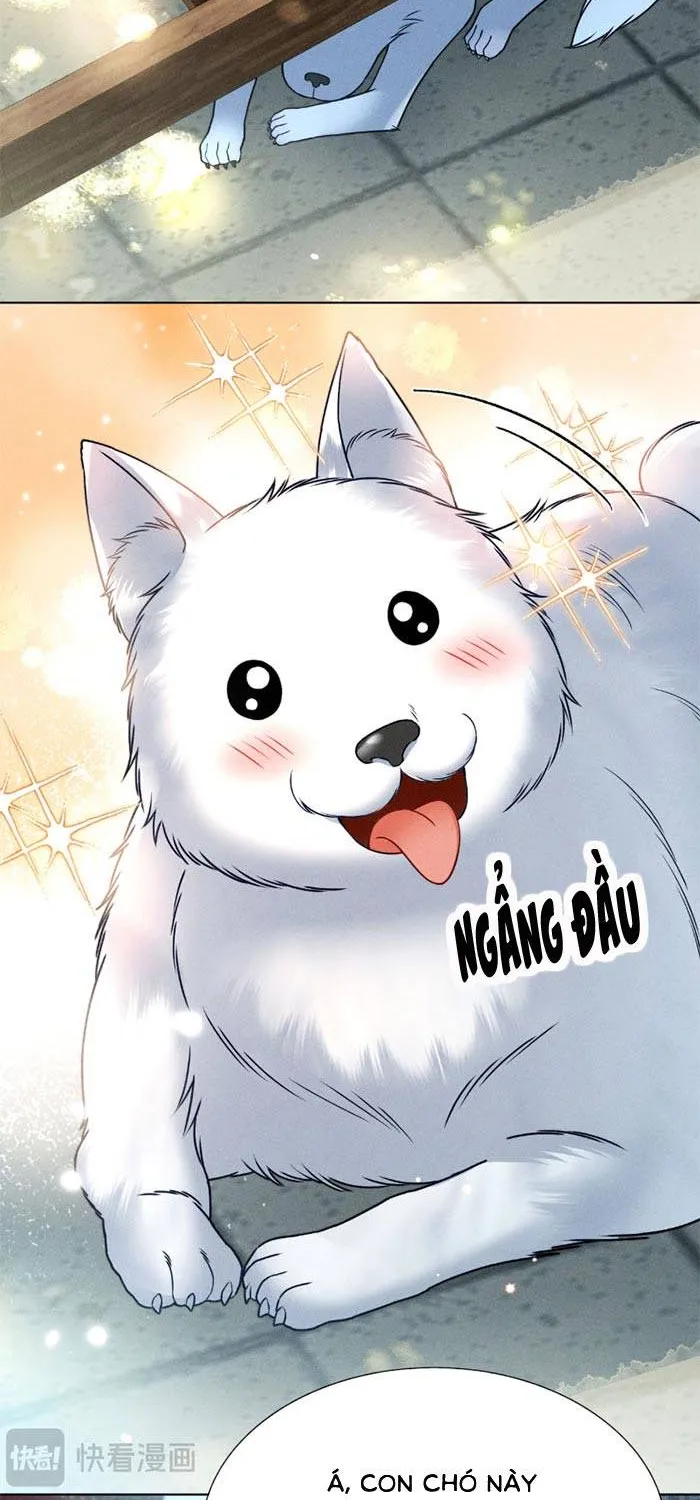 Chapter 15