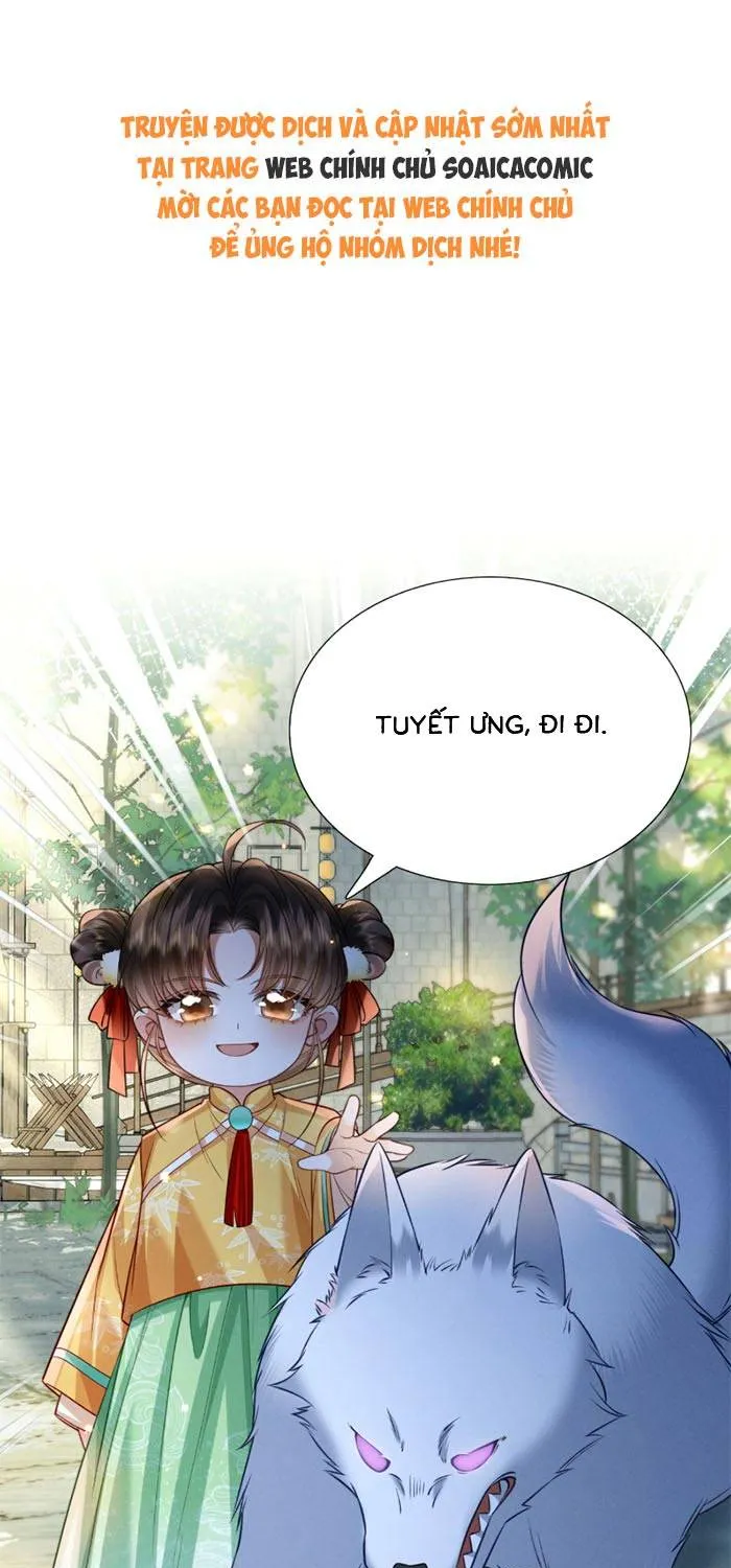 Chapter 16