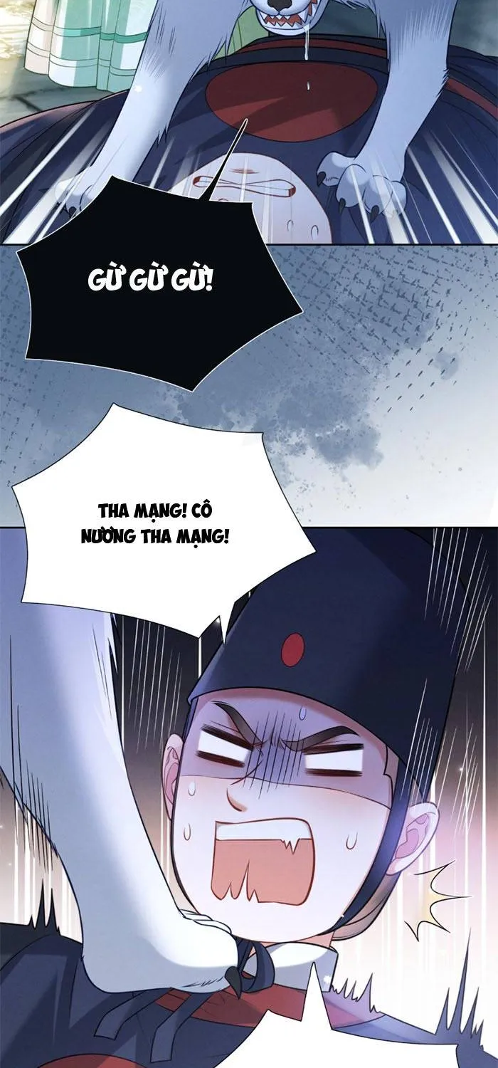 Chapter 16