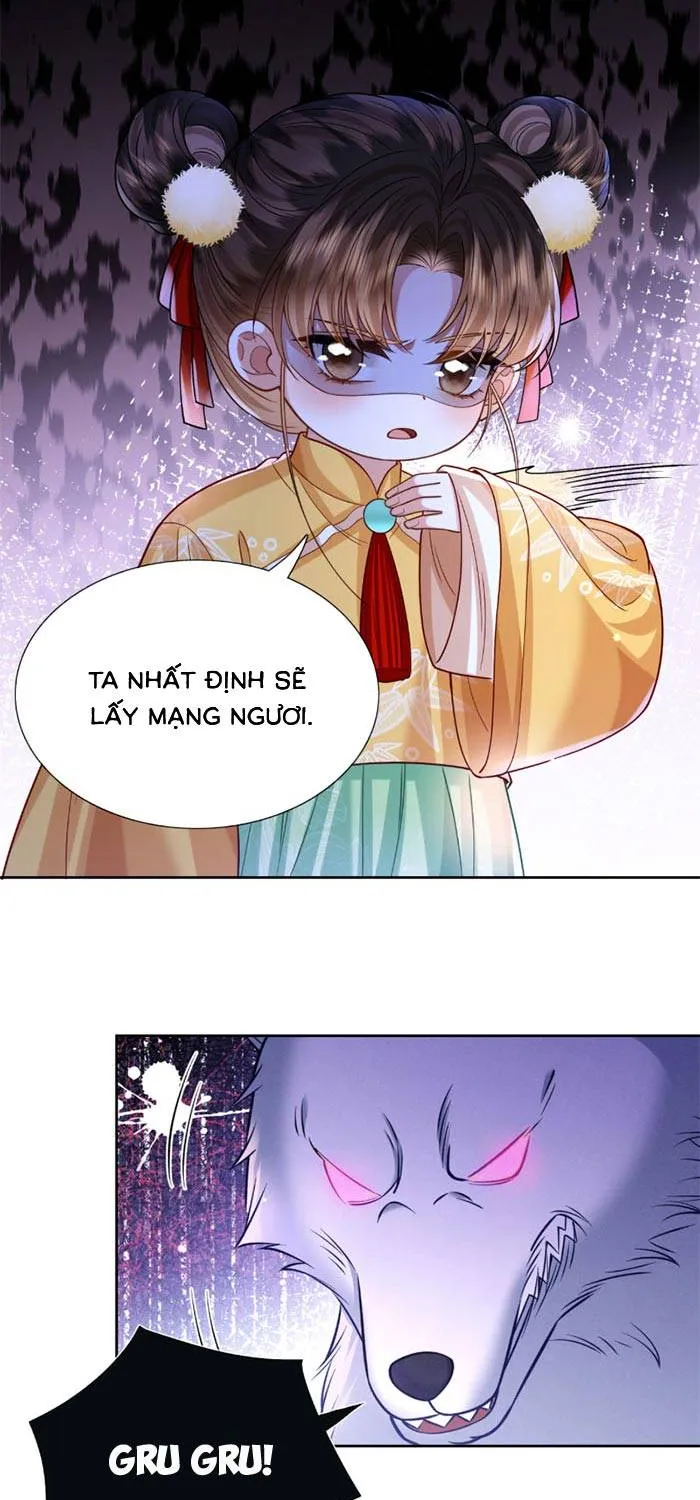 Chapter 16