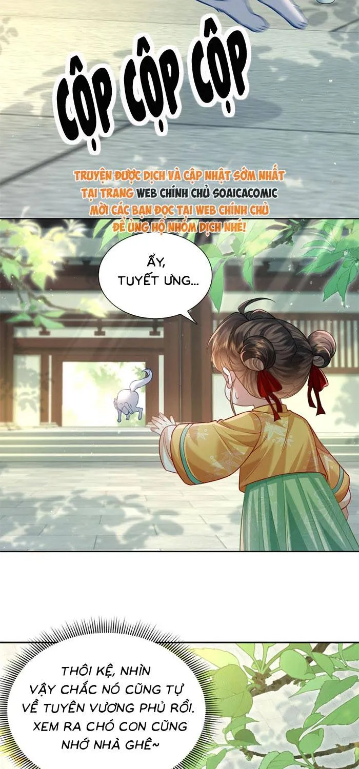 Chapter 17