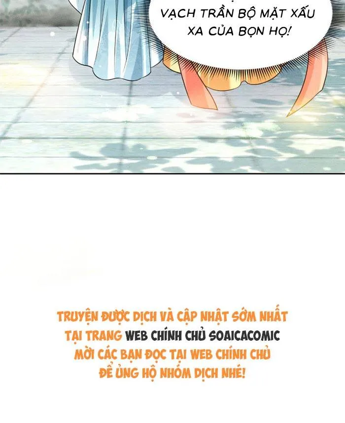 Chapter 19