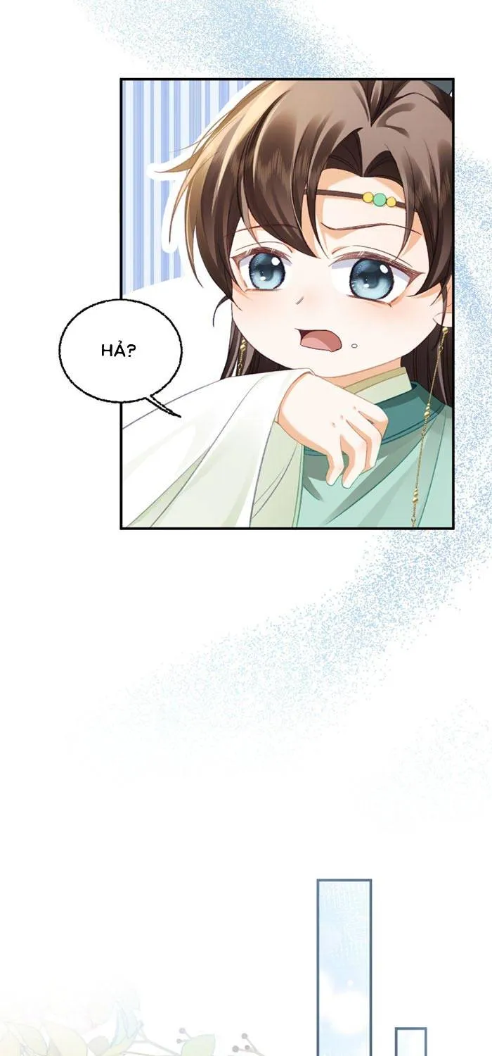 Chapter 15