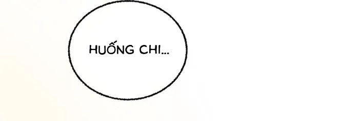 Chapter 15