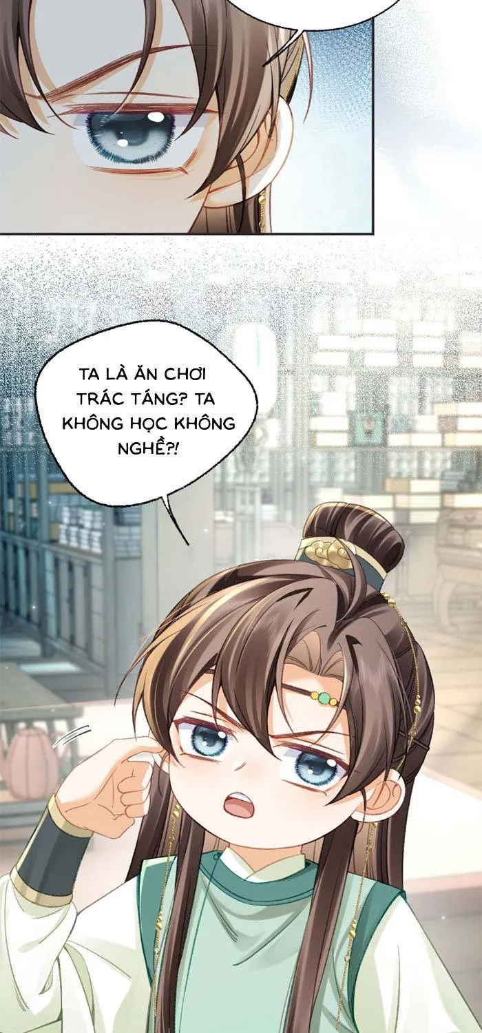 Chapter 19