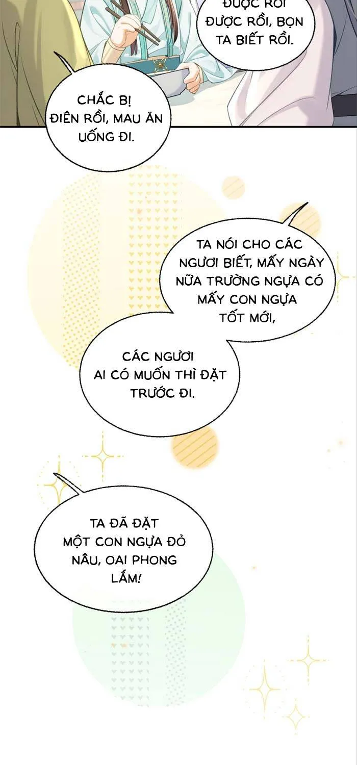 Chapter 19