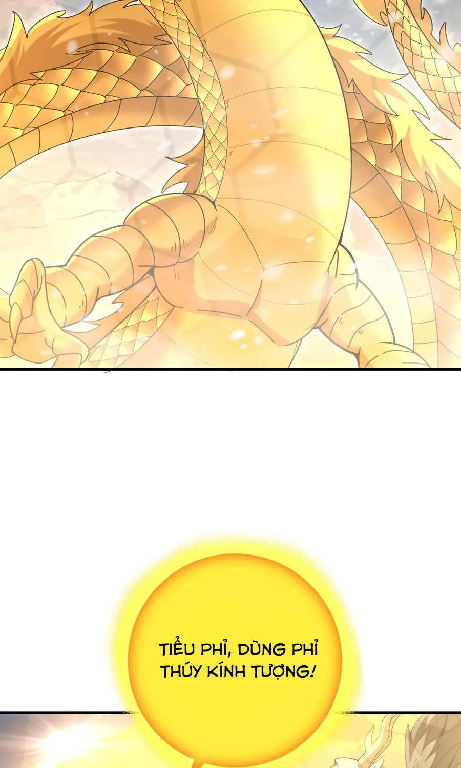 Chapter 222