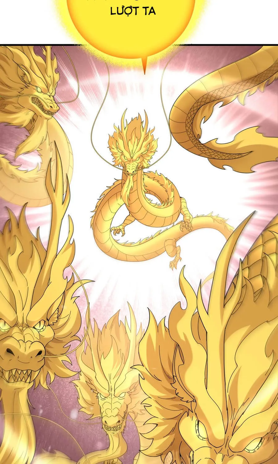 Chapter 222