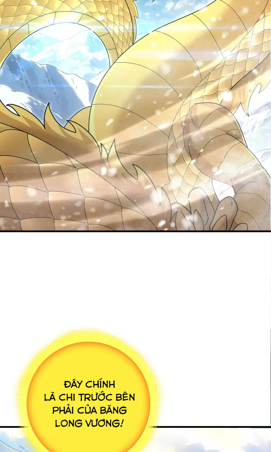 Chapter 222
