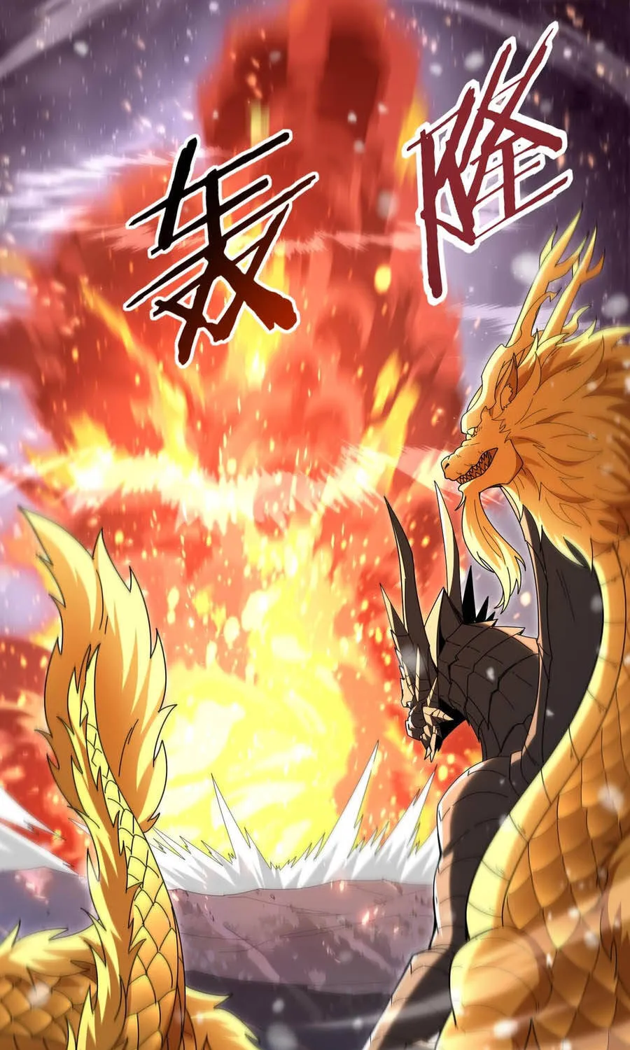 Chapter 222