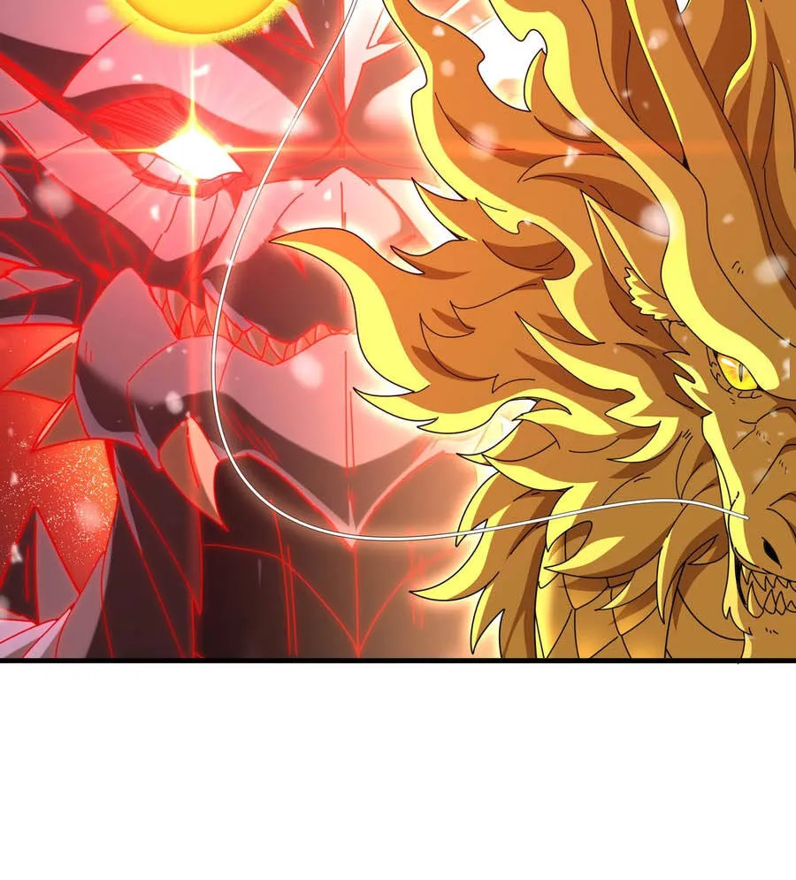 Chapter 223