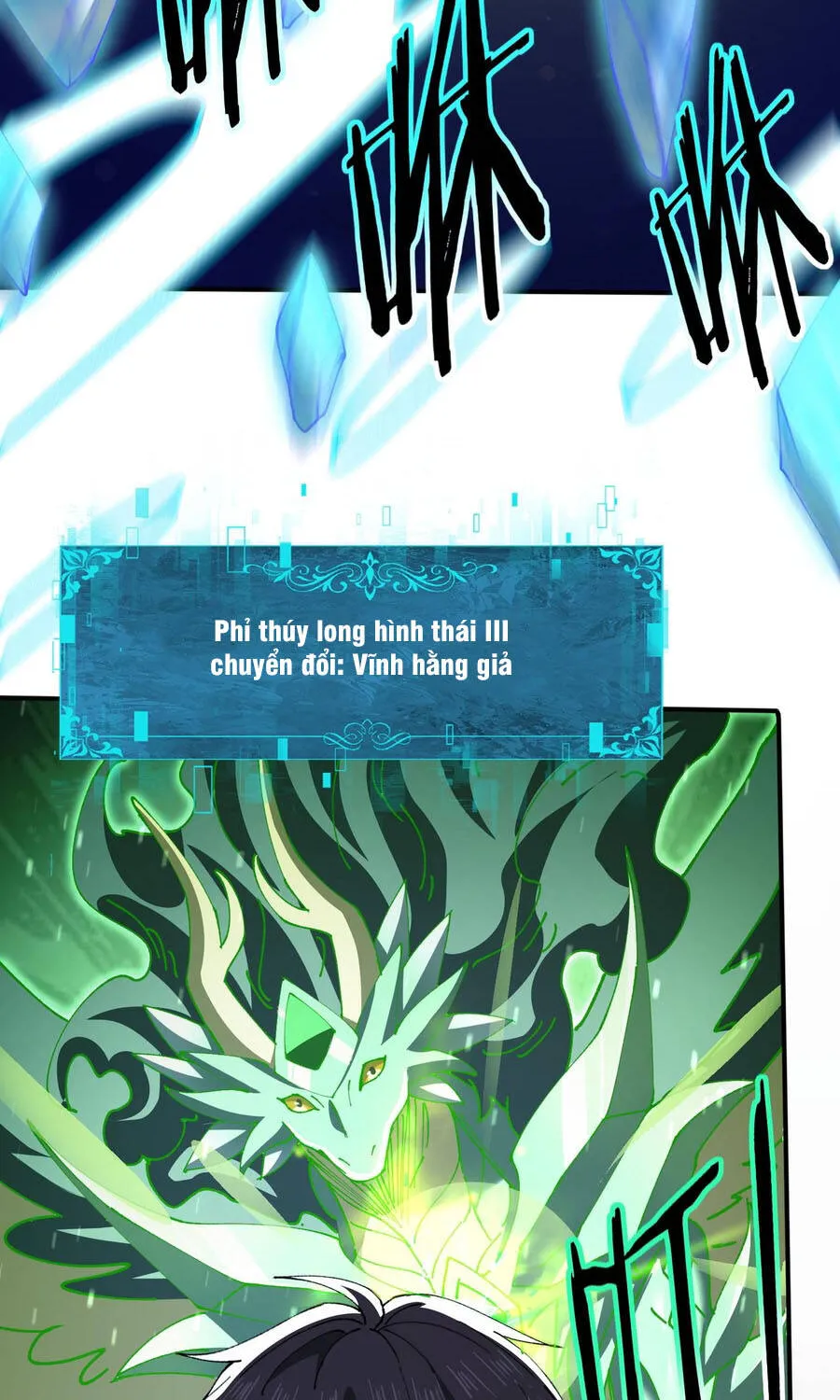Chapter 224