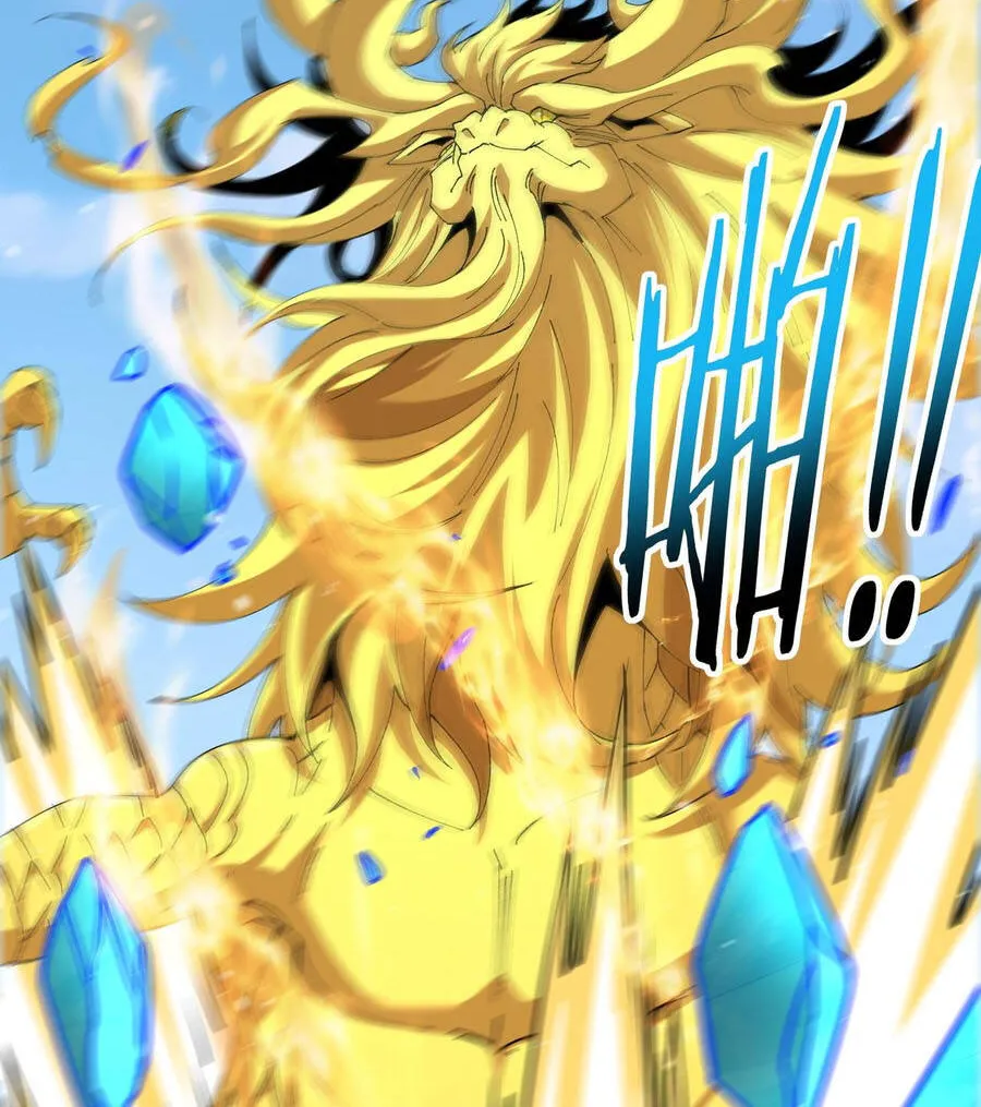 Chapter 224