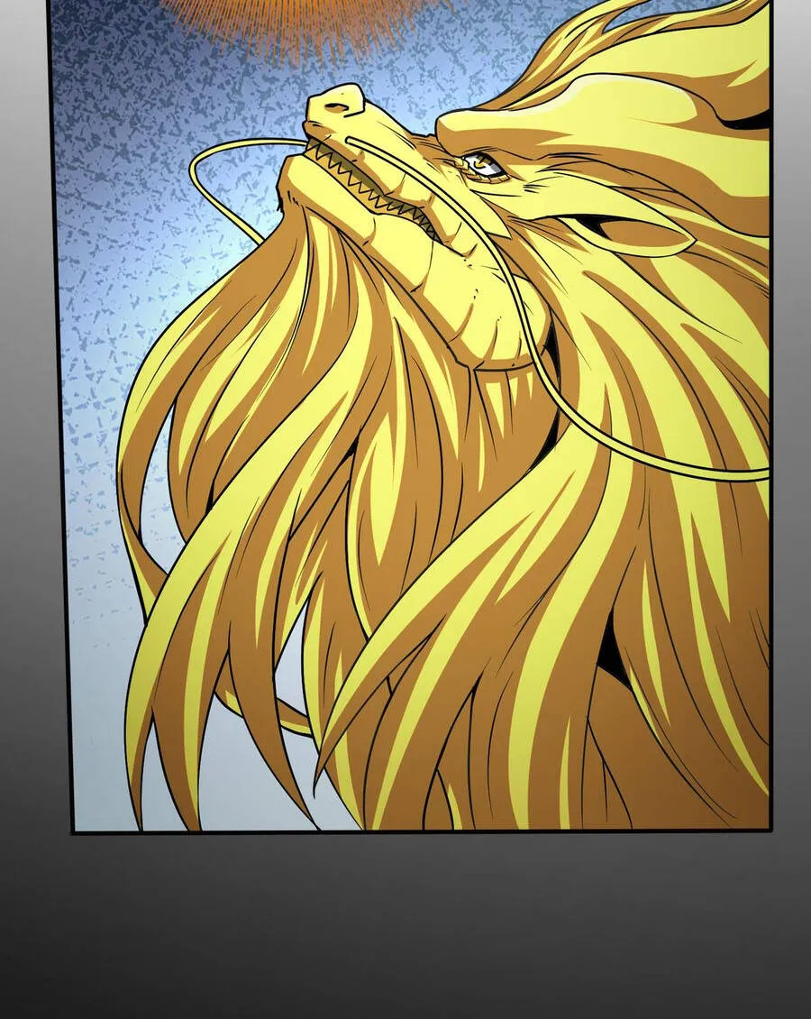Chapter 224