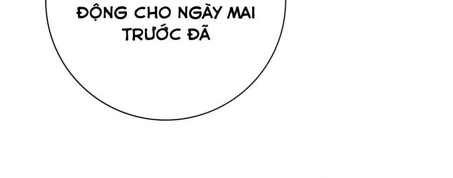 Chapter 240