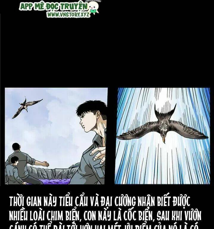 Chapter 239