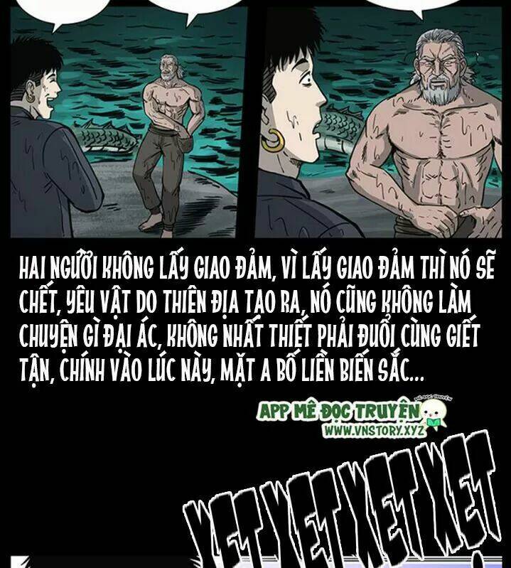 Chapter 251
