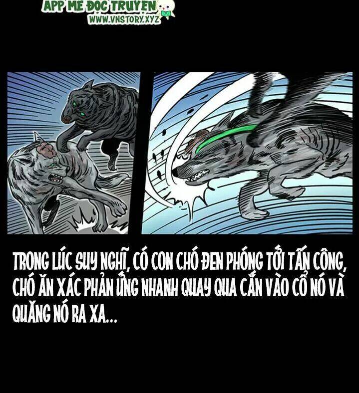 Chapter 255