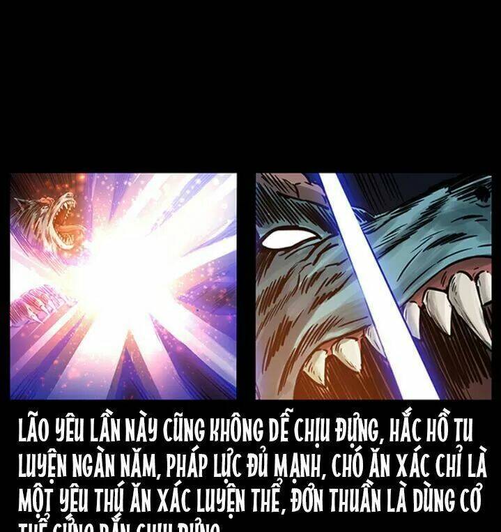 Chapter 269
