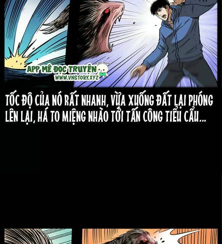 Chapter 270