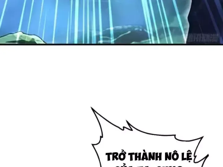 Chapter 134