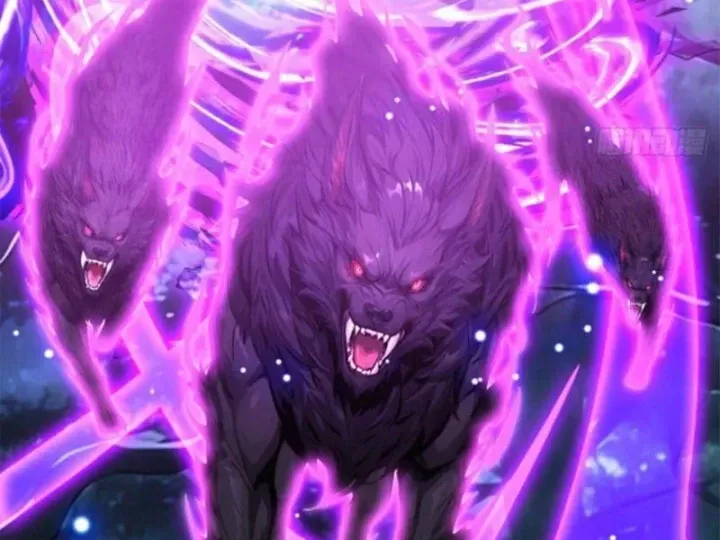 Chapter 135