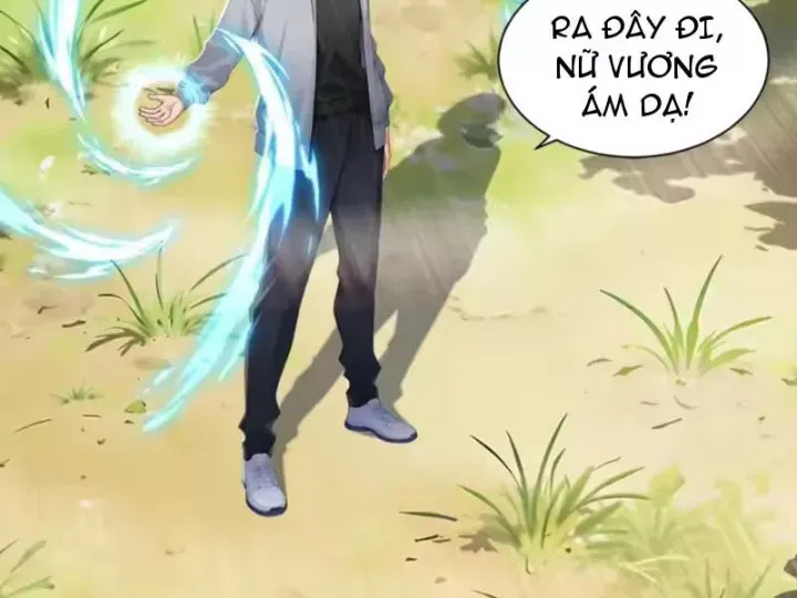 Chapter 137