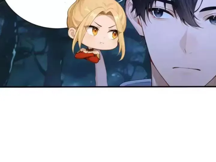 Chapter 137