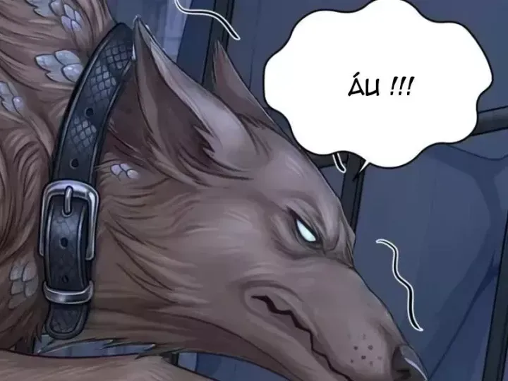 Chapter 146