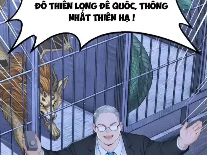 Chapter 146